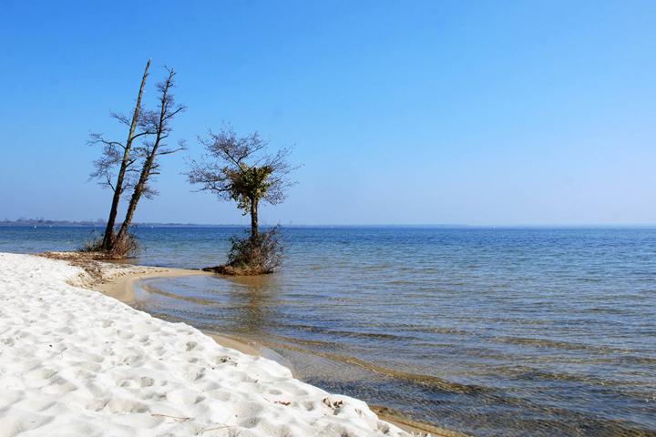 Lac de Cazaux-Sanguinet